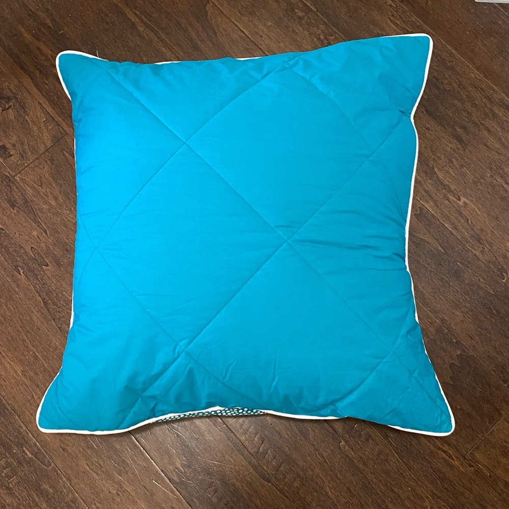 Pottery Barn Teen Turquoise Euro Shams X 4